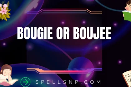 bougie or boujee