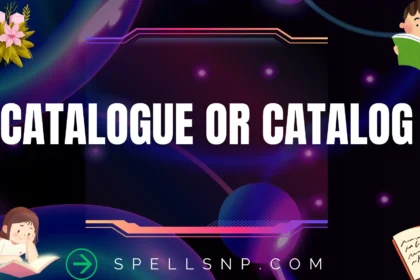 catalogue or catalog