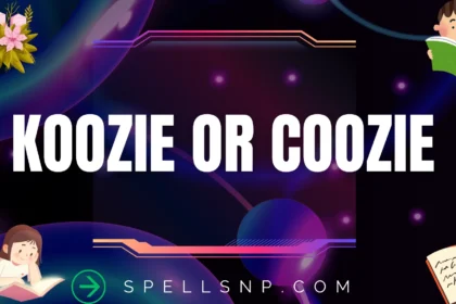 koozie or coozie