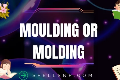 moulding or molding