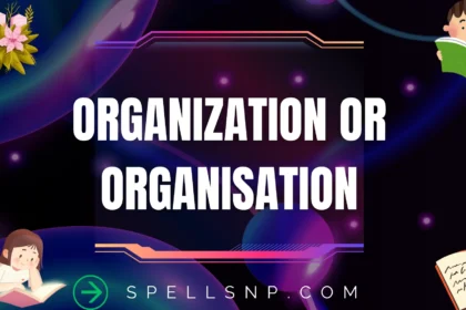 organization or organisation
