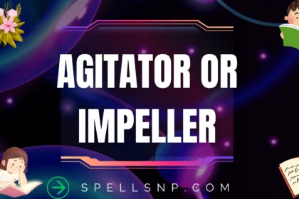 agitator or impeller