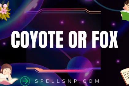 coyote or fox