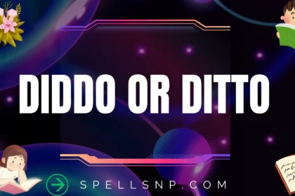 diddo or ditto