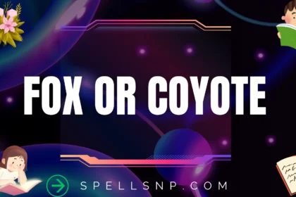 fox or coyote