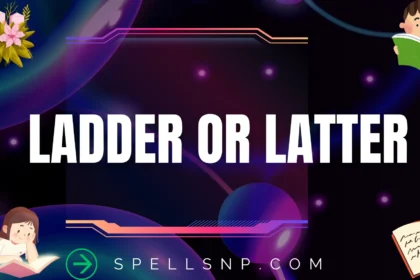 ladder or latter