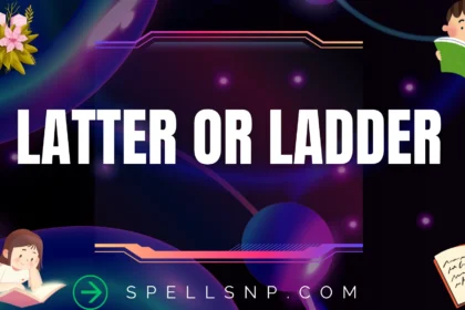 latter or ladder