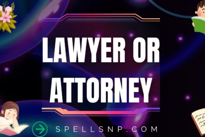 lawyer or attorney