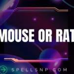 mouse or rat