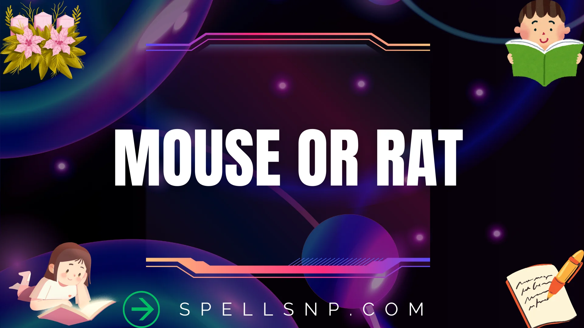 mouse or rat