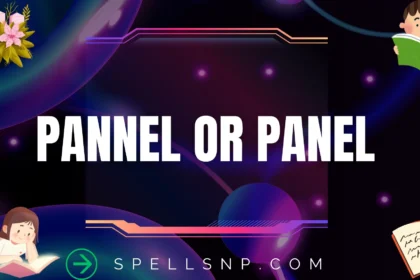 pannel or panel