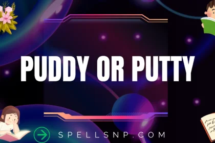 puddy or putty