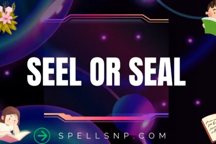 seel or seal